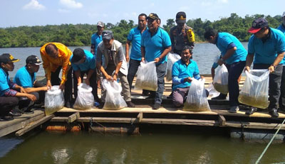 Pemprov Riau Akan Petakan Potensi Budidaya Perikanan